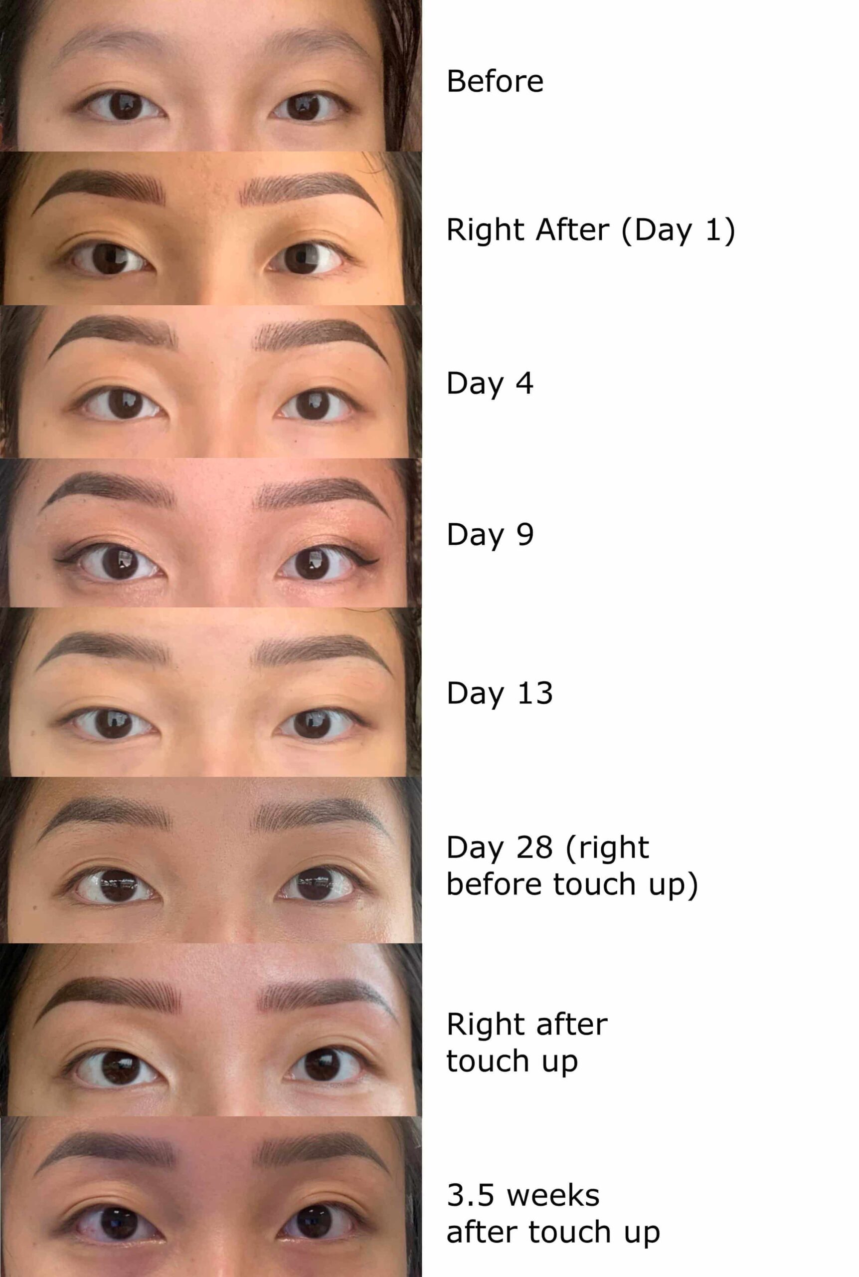 day by day healing process of microblading