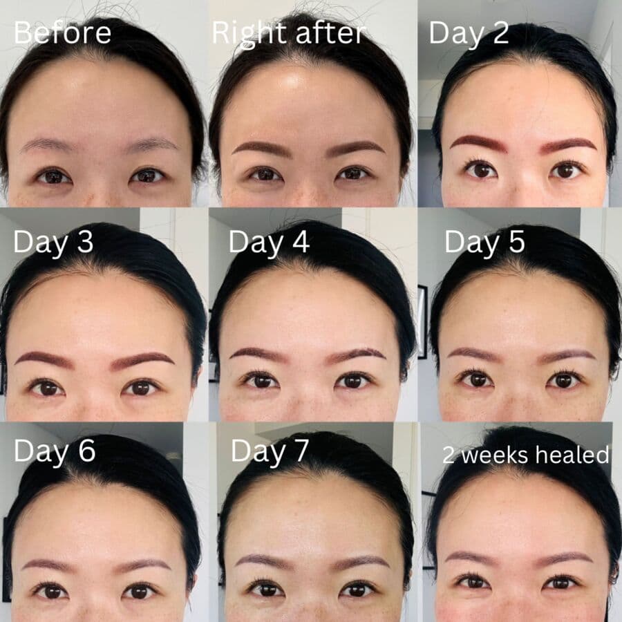 microblading touch up healing process day by day photos
